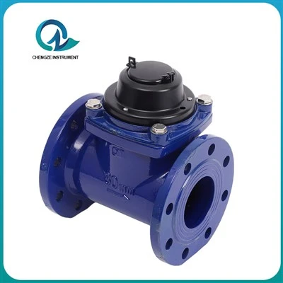 Pulse Remote Water Meter